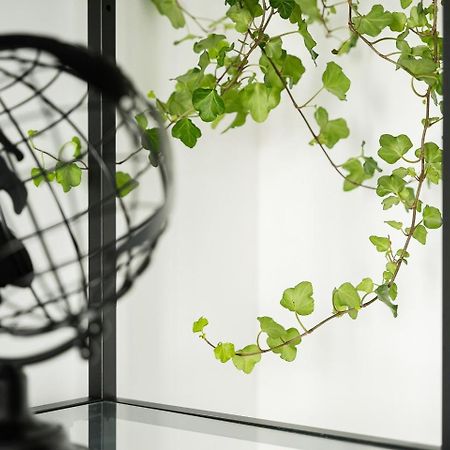 Guestready - Serene Stay In 波尔图 外观 照片