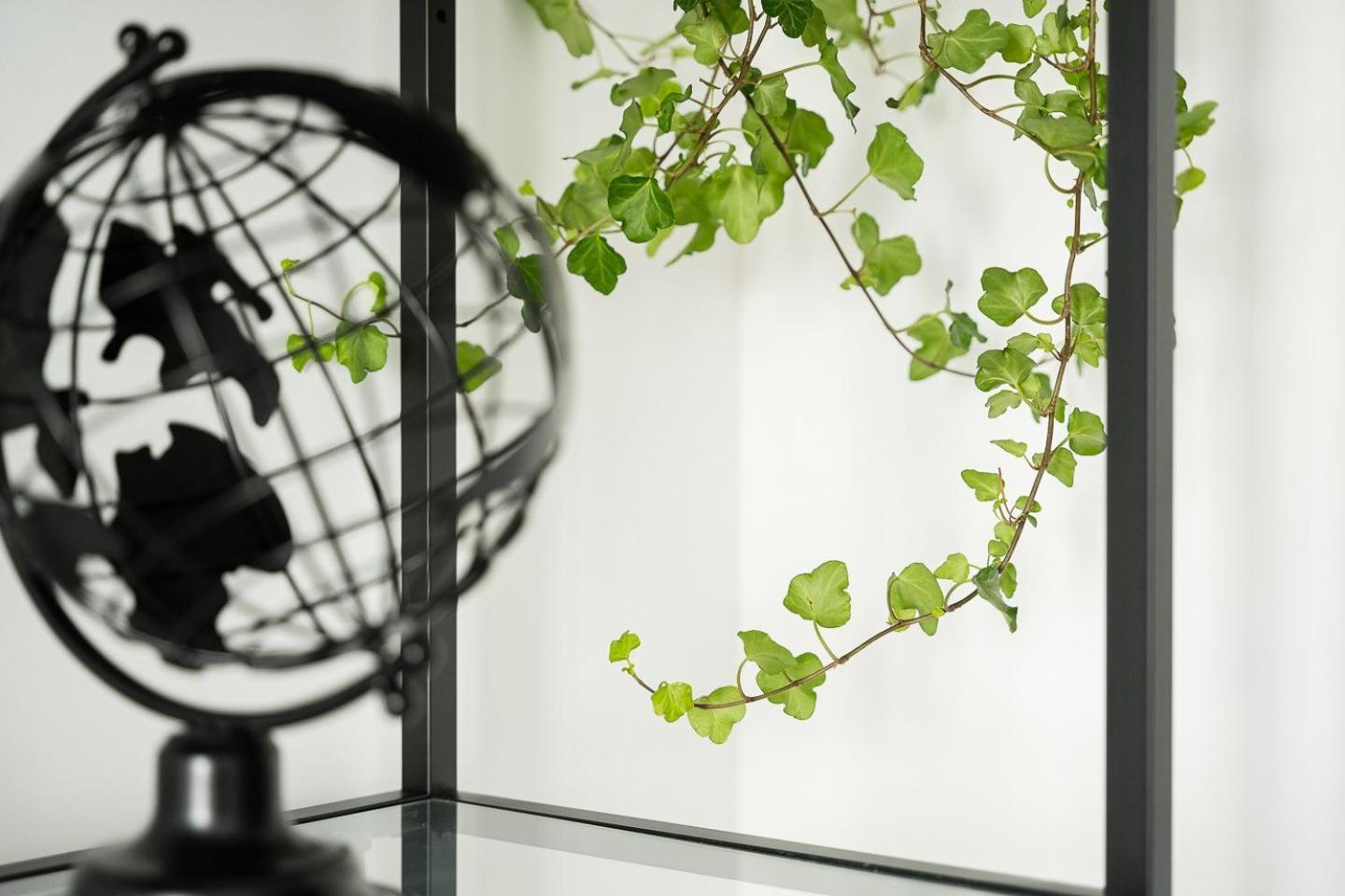 Guestready - Serene Stay In 波尔图 外观 照片